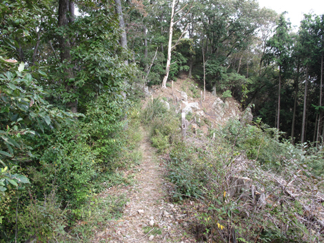 20181009hike (240)